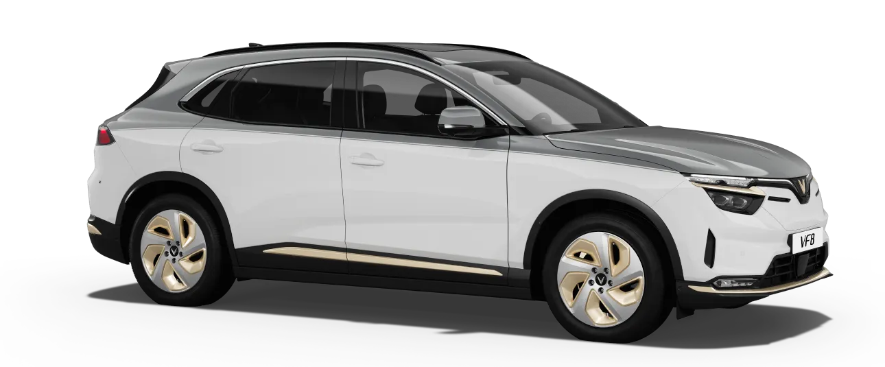 Màu sắc : Infinity Blanc - Zenith Grey Roof